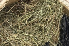 20251206_164235715_iOS