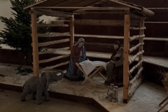 20251222_083133822_iOS