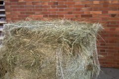 20251222_083149968_iOS