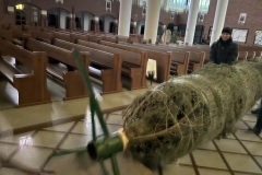 20251222_084817958_iOS