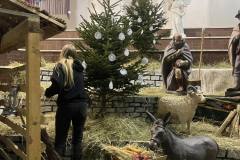 20251222_185501597_iOS