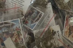 20251219_184915661_iOS