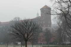 WhatsApp-Image-2026-02-10-at-18.44.53-4