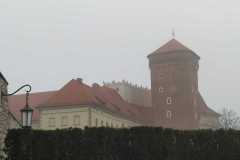 WhatsApp-Image-2026-02-10-at-18.44.54-2