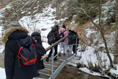 7e9276098c54810ed354ea1baa068986