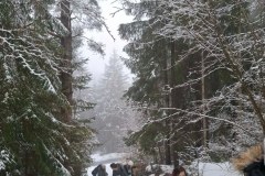 cd7cc23ed7c8b50d967c4b96cff1f8d8